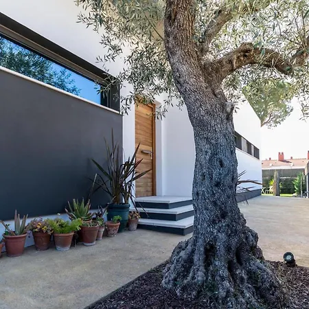 Modern With Swimming Pool Villa